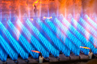 Blackmoor Gate gas fired boilers
